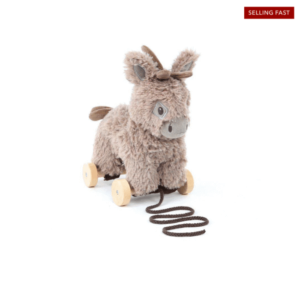 Little Bird Told Me - Pull-Along Donkey - Norbert (6m+)
