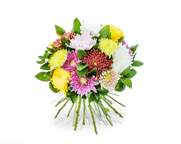 Sherbet Fizz Flower Bouquet – Bold Chrysanthemum Arrangement with Ruscus Greenery