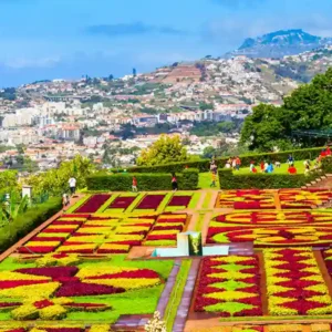 Dreams Madeira Resort Spa & Marina – Ultimate Madeira Beach Holiday Deal with Flights